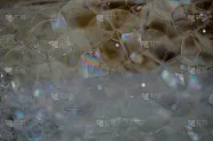 肥皂泡