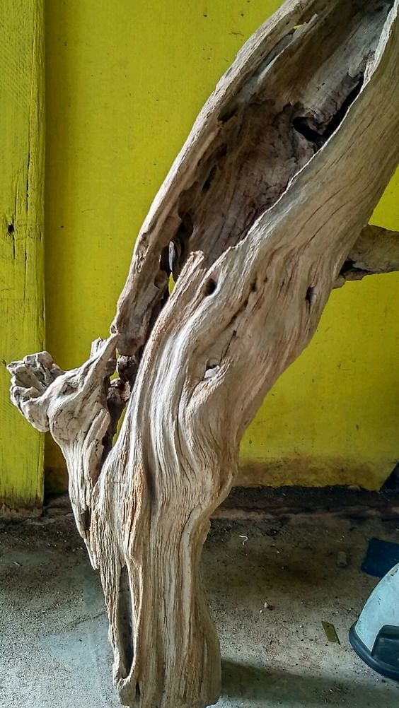 (270) Pinterest
