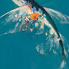 飛魚 - 小红书