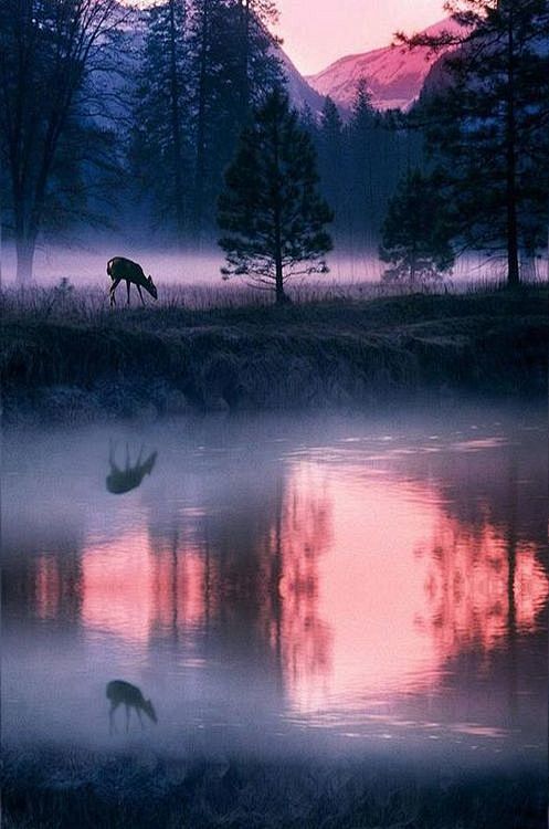 Yosemite National Pa...