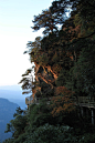 重峦迭峰的井冈山