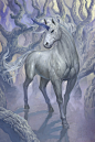 西方神话-独角兽：现行西方神话的独角兽则形如白马，额前有一个螺旋角，代表高贵、高傲和纯洁。有的故事中描述为长有一双翅膀，甚至还有独角兽是黑色的描述。
