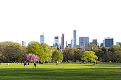 城市 公园  PNG