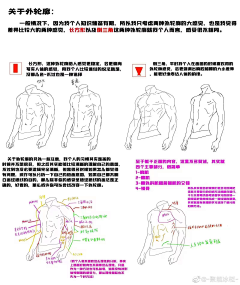 素材收集地★采集到人体结构