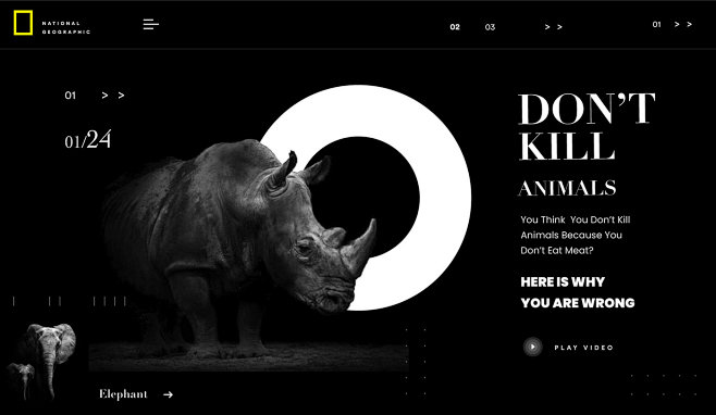 Don't Kill Animals R...