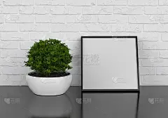 室内海报模型与方形框架和植物花瓶在白墙背景，3d插图