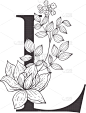 字母,植物群,植物学,华丽的,字母表次序,信函,婚礼,草,花,复古