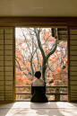 秋天啊， 是灿烂，是离别，是银杏树下的初... 来自anecho_shio - 微博