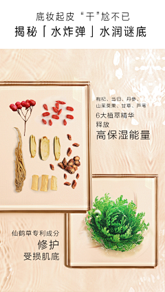 TALENTPANDA采集到化妆品