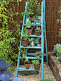 pflanzentreppe-kräuterregal-garten-selber-machen