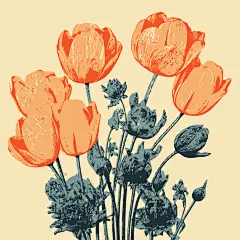 花朵素材图片矢量图