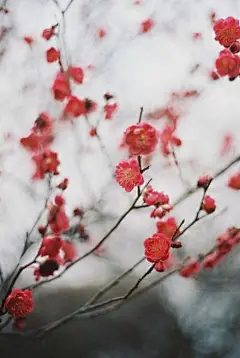 ¤、那些一刀一刀剜开我的心还说爱我的人你们真幽默。
¤、个性签名大全：最大的愿望不过就是能每天和你说早安，午安，然后晚安。
¤、暗恋是一种礼貌，自恋是一种骄傲，明恋是一种格调，不恋是种味道。
¤、在我的脑海里你向我求婚的场景已经排练了无数次。
¤、青梅枯萎，竹马老去，我爱的人从此都像你。
¤、他即使千般不好万般辜负毕竟是我爱过的人。
¤、你有多重要只有我知道。
¤、我不知道爱情是什么，我只知道，跟这个人在一起的时候，我觉得很幸福。
¤、我想在你身边 不管有没有明天。
¤、你很普通，但在我眼中却很特别。
¤