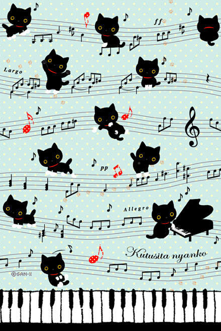 小黑猫的音乐世界