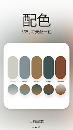 小_韦采集到配色