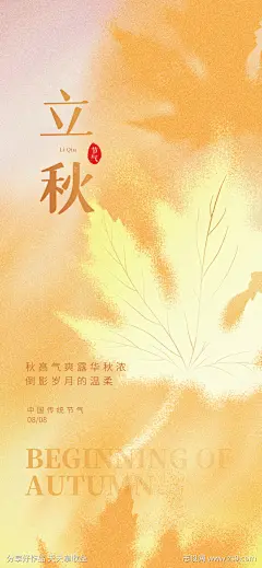 立秋_源文件下载_PSD格式_1242X2688像素-秋收,立秋节气海报,秋分,秋季,秋天,初秋,处暑,落叶,梧桐落叶,24节气,秋风,微信,秋朋友圈,枫叶,银杏叶,立秋-作品编号:2023071223032948-志设-zs9.com