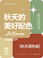 秋天的美好配色 - 小红书