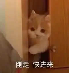 表情包
