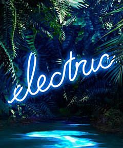 Disco in the Jungle:...