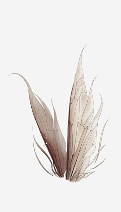 -如果-采集到精灵翅膀