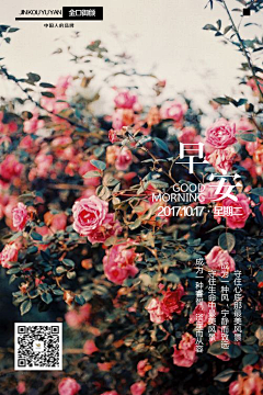 木木部落采集到海报