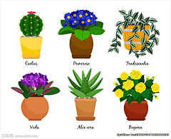 闹木闹木闹木哒哒采集到植物插画参考