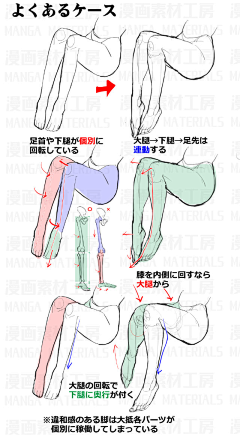 缘因·采集到人体：腿部