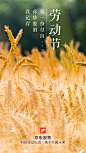 0501-劳动节3