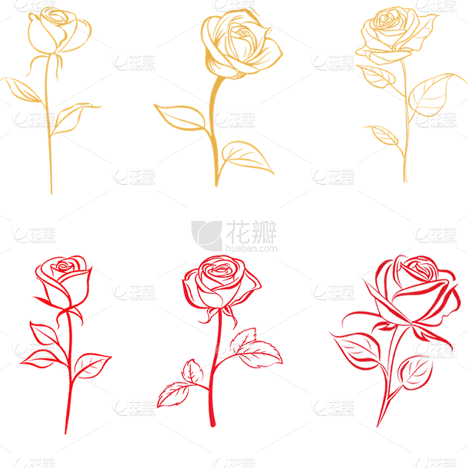 植物插画线条玫瑰花元素素材组合合集