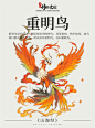 《山海经》中国神话传说上古神兽之重明鸟 - 小红书