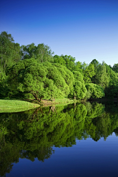 有点渴采集到景