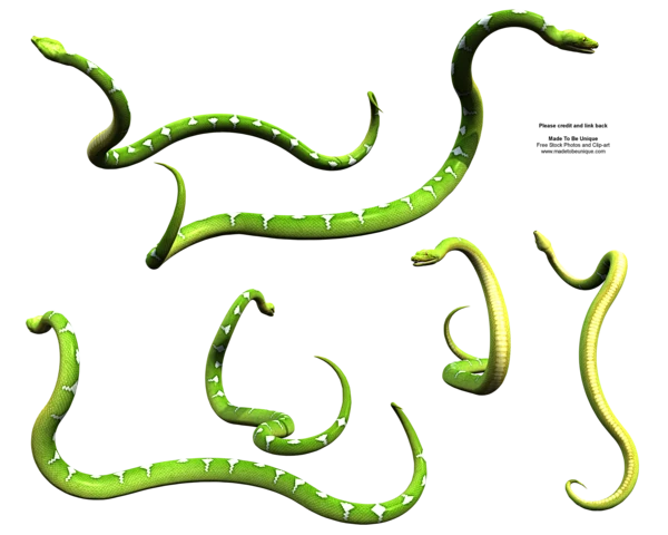 Slithering Green Snake Python by madetobeunique on DeviantArt-花瓣网