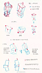 不会画人体躯干？你应该换种方法来学画