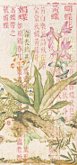 琯朗壁纸｜日长蝴蝶飞
南园春半踏青时，风和闻马嘶。青梅如豆柳如眉，日长蝴蝶飞。
花露重，草烟低，人家帘幕垂。秋千慵困解罗衣，画堂双燕归
蝴蝶图出自：百蝶图
文字内容出自：月令辑要