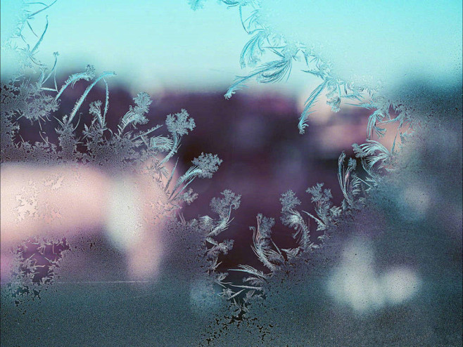 【多图】奇异的冰窗花，冬天给窗子的吻