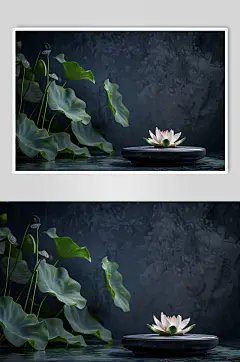 AI数字艺术中国风荷花禅意摄影图电商展台