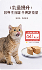 宽福猫罐头主食罐全价猫咪湿粮猫粮营养增肥发腮幼猫成猫100g*6罐-tmall.com天猫