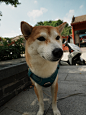 DSC05901