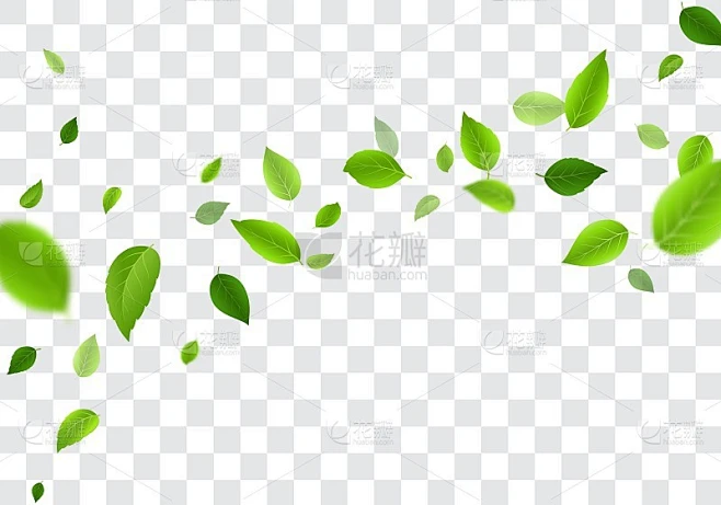 绿色的树叶飘落，孤立在透明的背景上素材-花瓣网