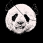 可爱的海盗熊猫T恤设计 | 「T恤啦」 #可爱#  #熊猫#