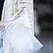 采集图片