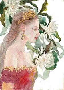 ENOFNO 插画－堆糖，美好生活研究所