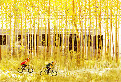 🐣大吉大利采集到画师_Pascal Campion