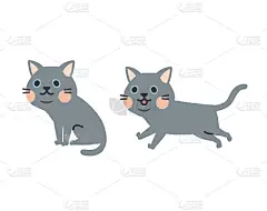 猫