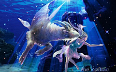 xKzseOJb采集到星座
