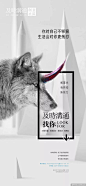 高端地产广告