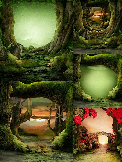 魔幻森林高清图片