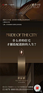 中南海晟君启