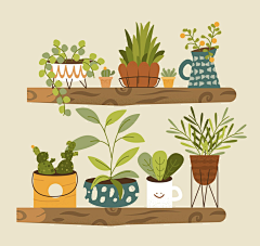 非著名兲兲采集到植物插画