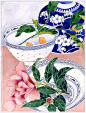 still life with camelia and kumquats  Watercolour and pencil on paper  24cm x 39cm Sydney 2010: Gabby Malpas, artist: 