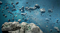 Asteroid Library